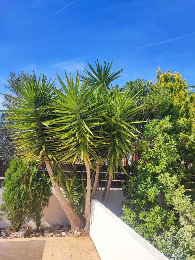 Villa Maya Liznjan Bagian luar foto
